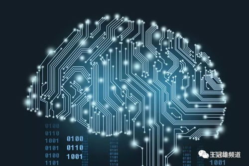 貝貝網(wǎng)的場景革命 創(chuàng)新升級(jí)如何重塑網(wǎng)絡(luò)消費(fèi)生態(tài)